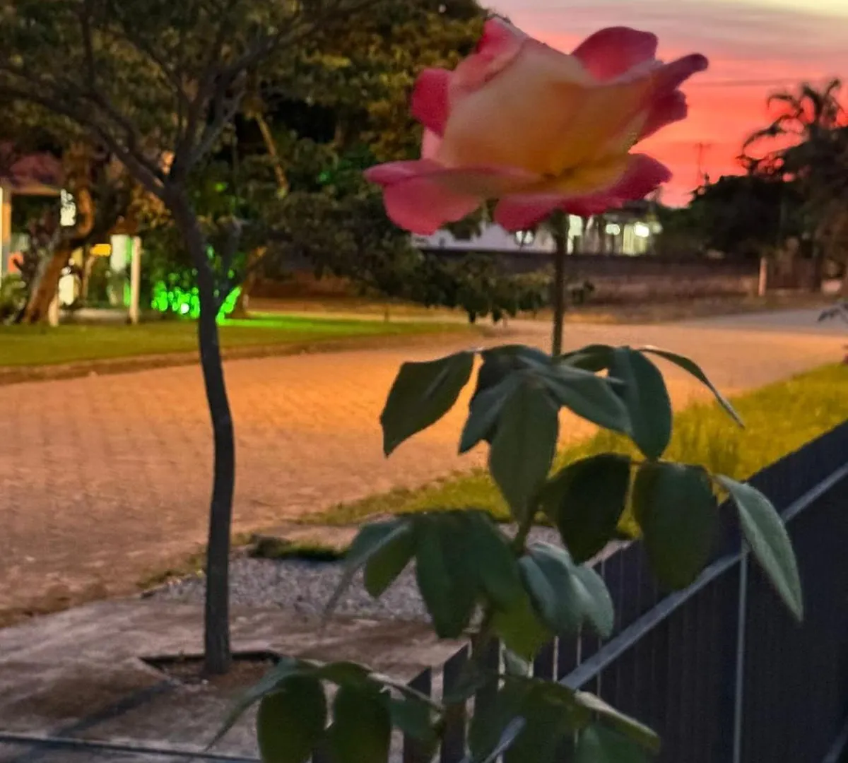 Recanto Do Mar Florianópolis Pensión
